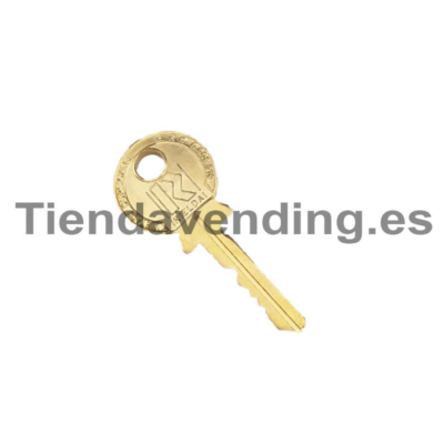 Llave rielda oro Saeco AJ306A (programación)