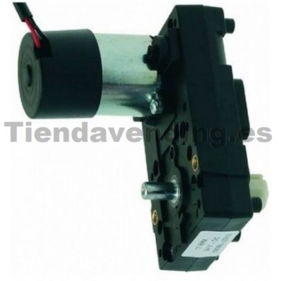 Motorreductor grupo café Bianchi 24v 11 Rpm